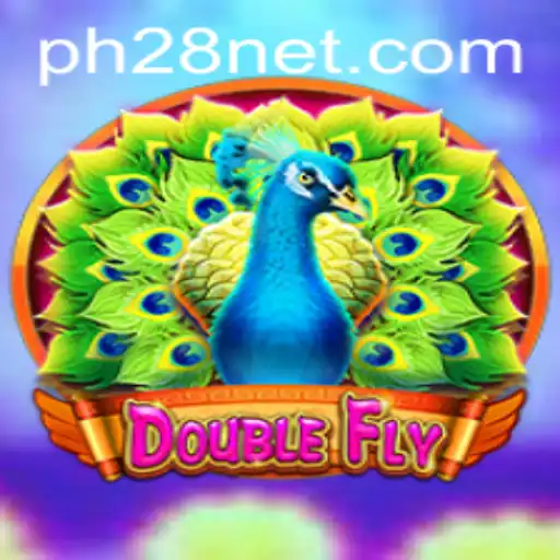 DoubleFly: Aerial Adventures in the Virtual Skies